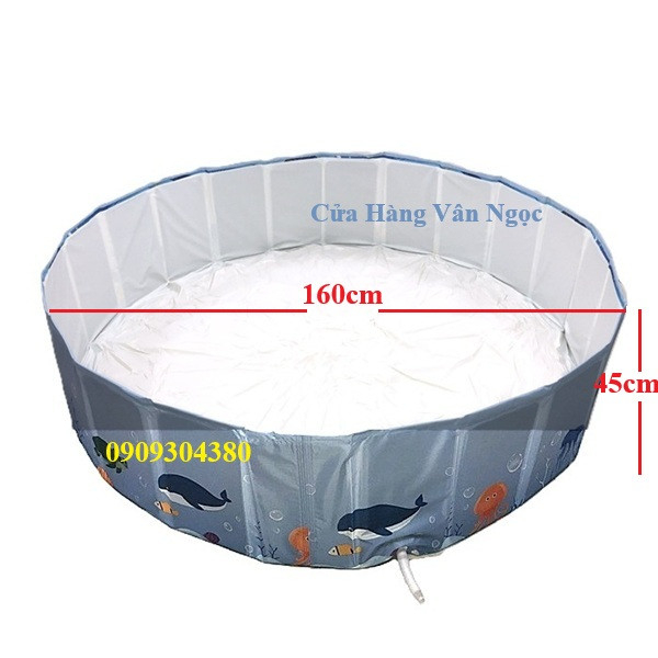 Bể Bơi Tròn Gấp Gọn 160cm Không Bơm Hơi